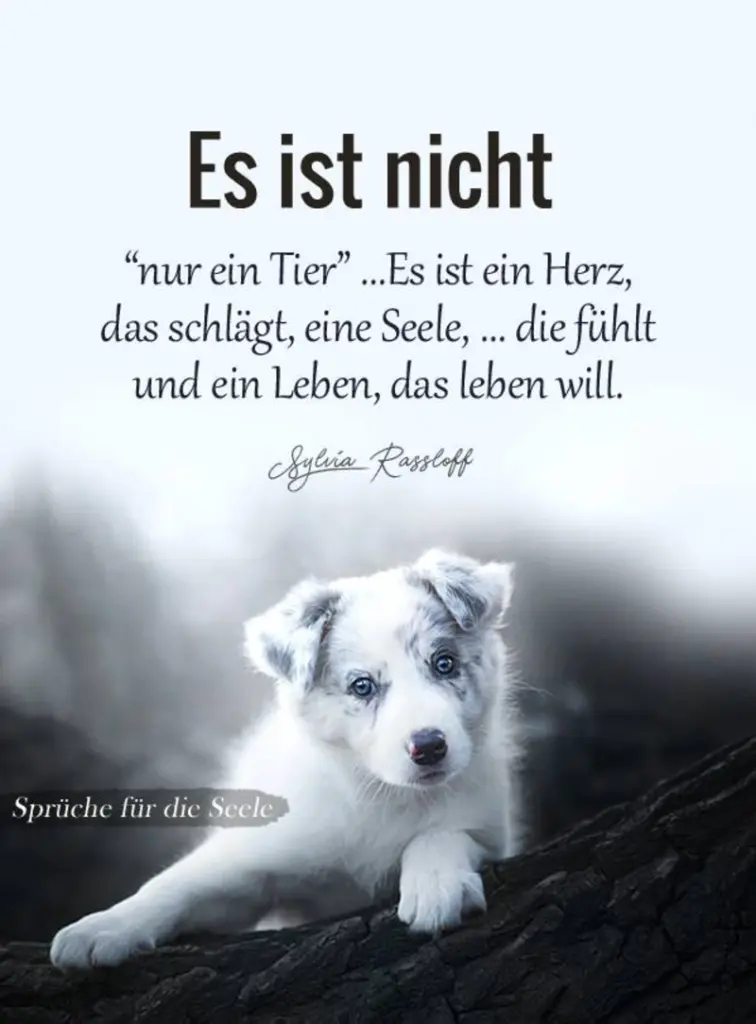 Andachtsbild von Anja mit Maja & Gräuli im ༺❤️༻