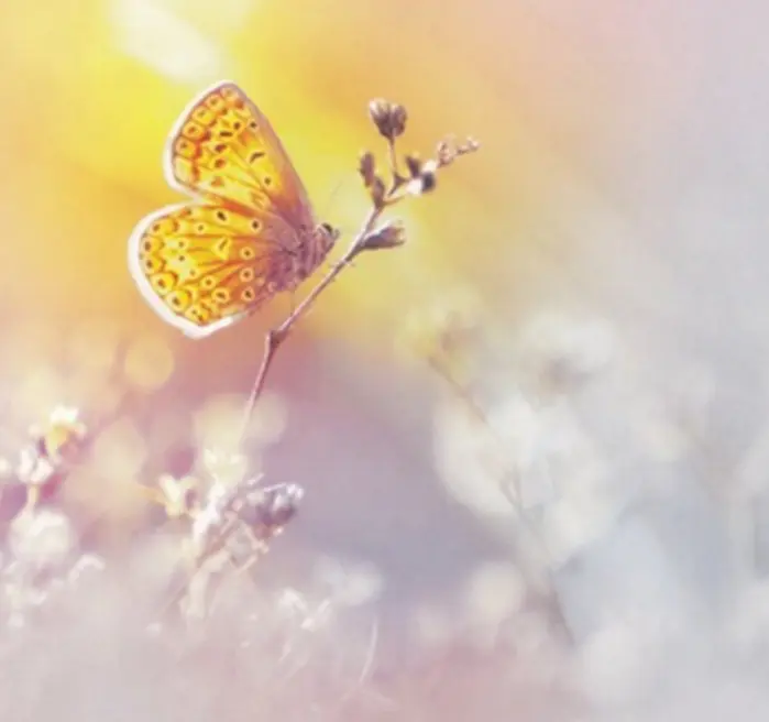 Andachtsbild von Ewa & Krzysztof mit Jacki tief im Herzen❤