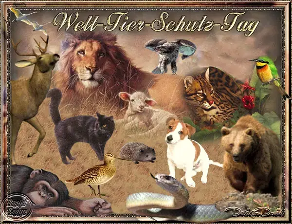 Andachtsbild von Anja mit Maja & Gräuli im ༺❤️༻