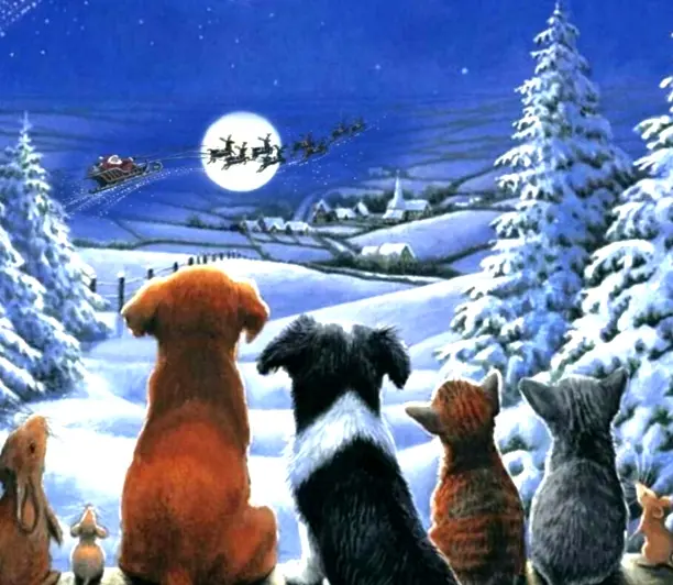 Andachtsbild von Weihnachtsgrüße ins Regenbogenland ♥️