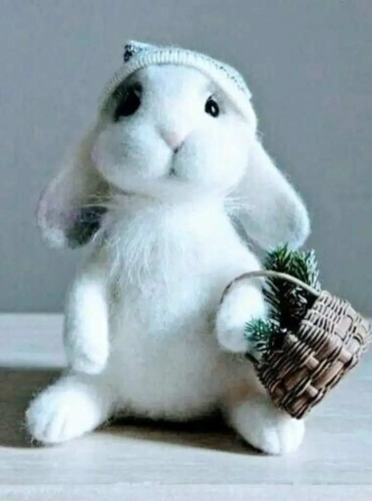 Andachtsbild von Jacqueline mit Diego & Aro tief im Herzen ❤