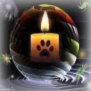 Andachtsbild von Claudia mit ASKO ❤ 