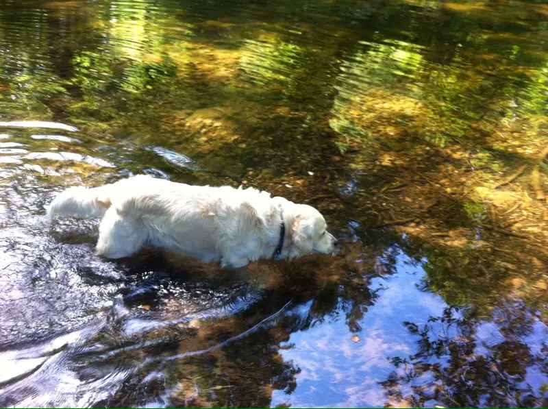 Andachtsbild von Andy und Piet ❤️