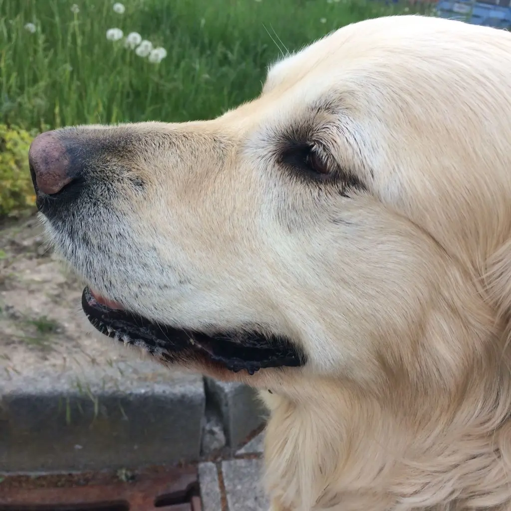 Andachtsbild von Andy ,Piet ❤️❤️ und Freddi ❤️