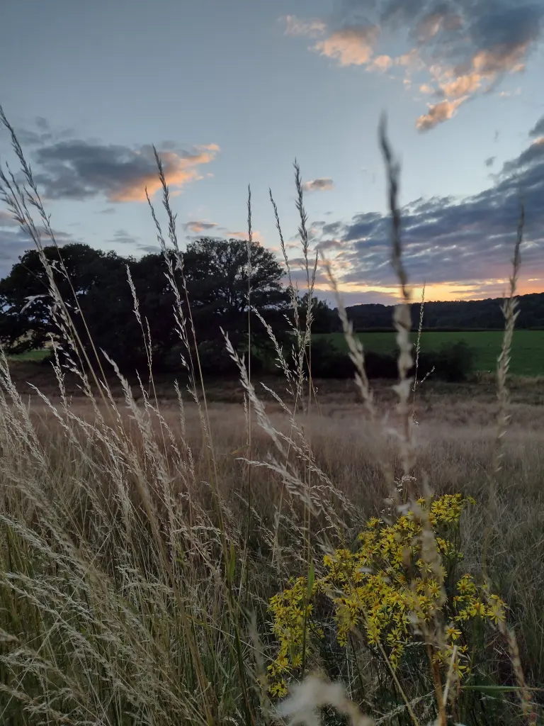 Condolence image of Corinna mit Emma (14.7.2019), Pummelchen und anderen Sternlein im ❤️