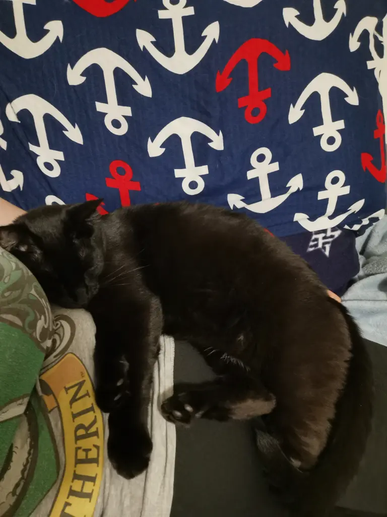 Image from Seelenkater Lucifer