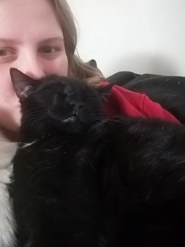 Image from Seelenkater Lucifer