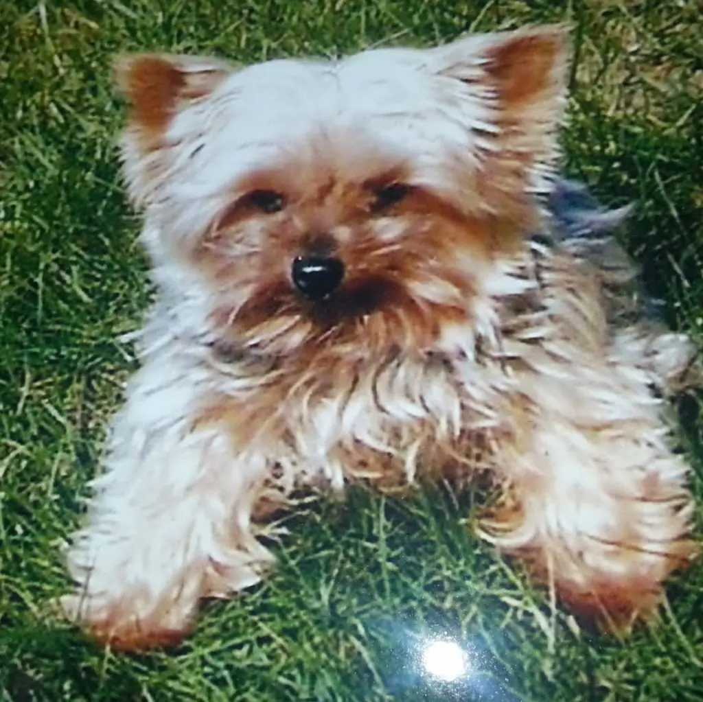 Image from Denny