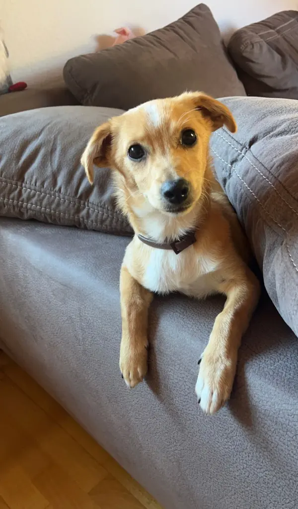 Condolence image of Mama ❤️