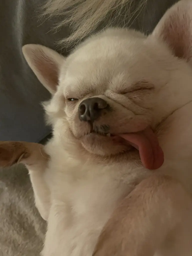 Condolence image of Meli ❤️