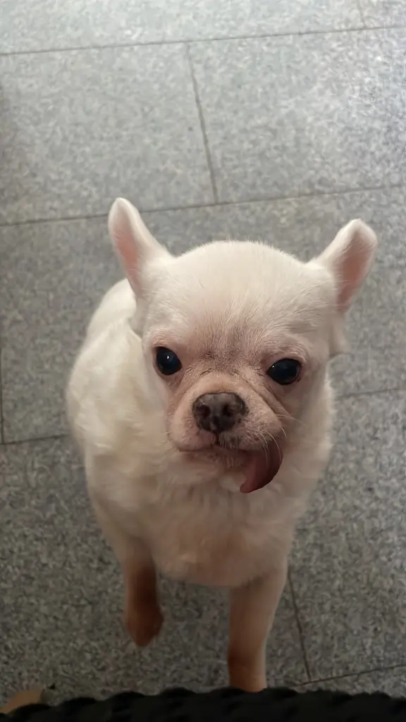 Condolence image of Mama Meli ❤️