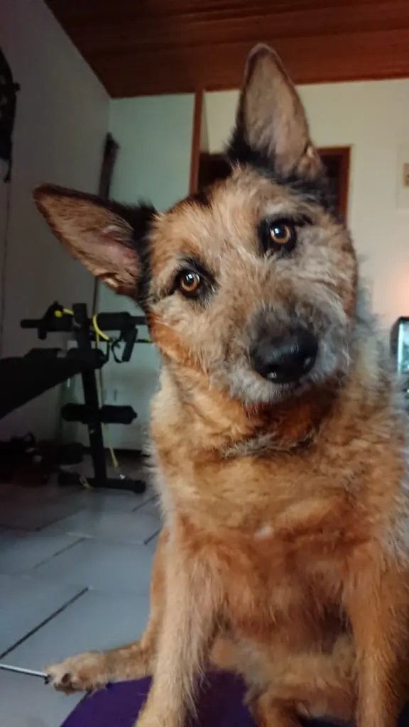 Condolence image of Merle