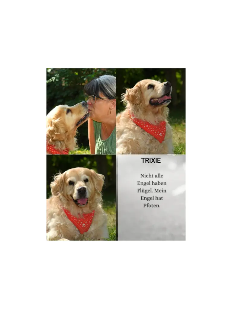 Condolence image of Unbekannt