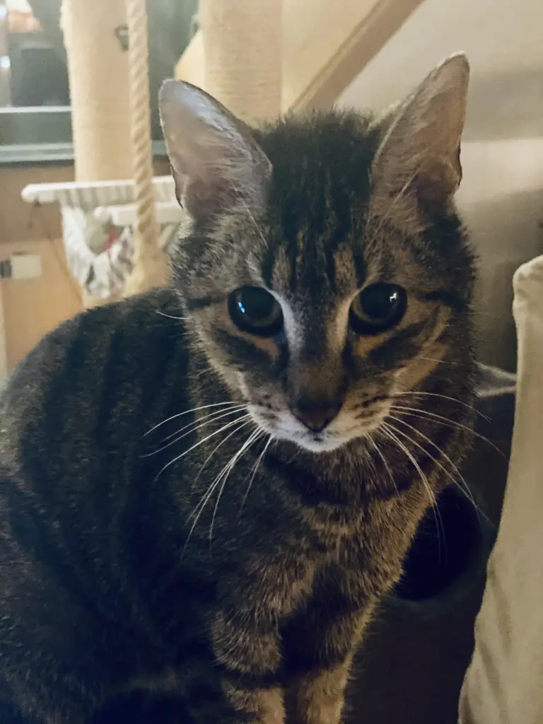 Condolence image of Christine