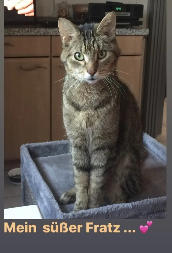 Condolence image of Christine