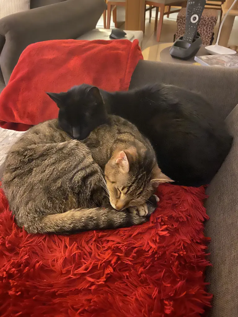 Condolence image of Christine 