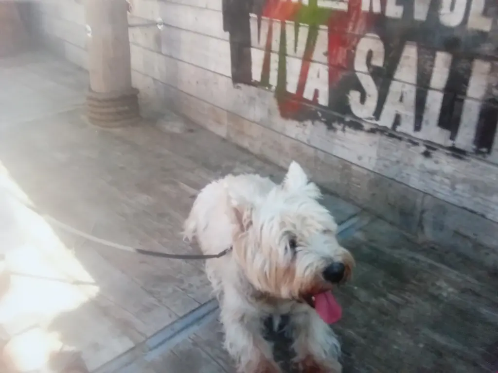 Condolence image of karina 