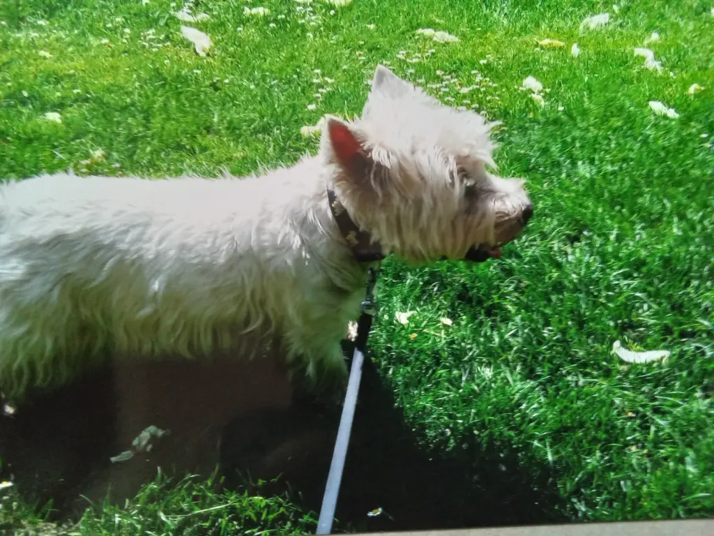 Condolence image of karina 