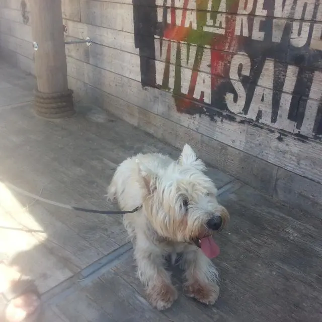 Condolence image of Karina 