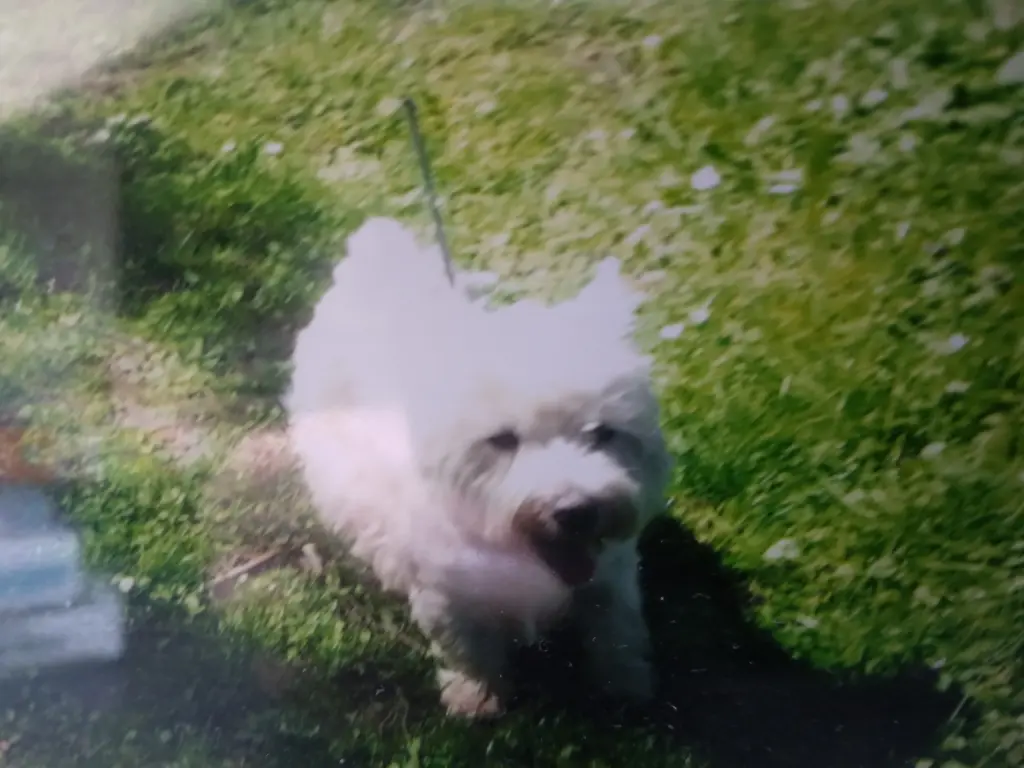 Condolence image of Karina 