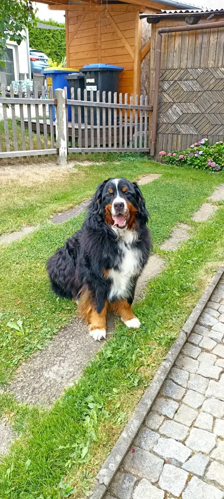 Condolence image of Elke