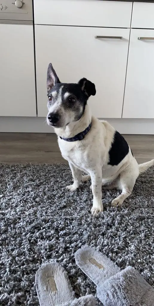 Andachtsbild von Saskia