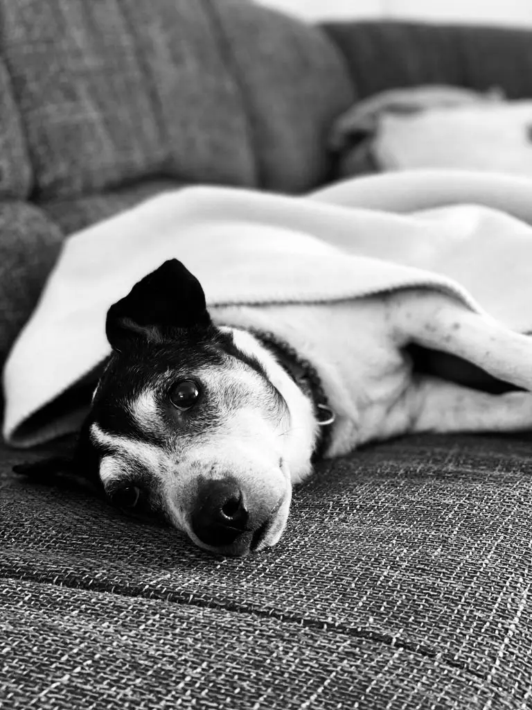 Andachtsbild von Chantal Teichmann