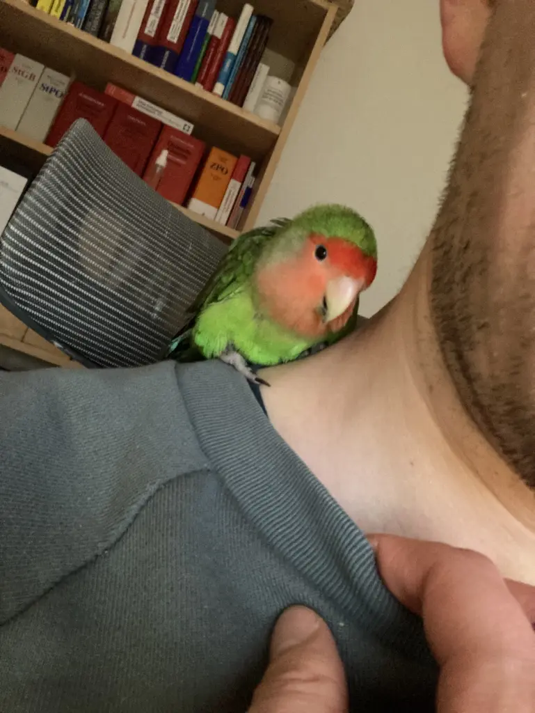 Condolence image of Matthias 