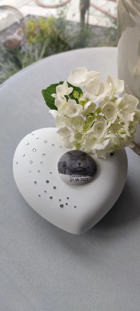 Image from Constantin Freiherr vom Stein 