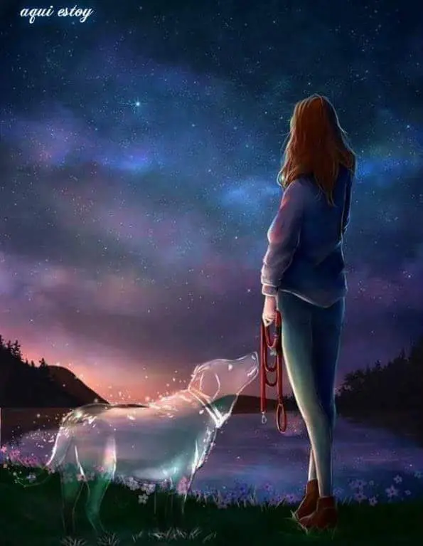 Condolence image of Ewa mit Elo im Herzen