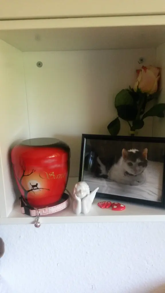 Condolence image of Unbekannt