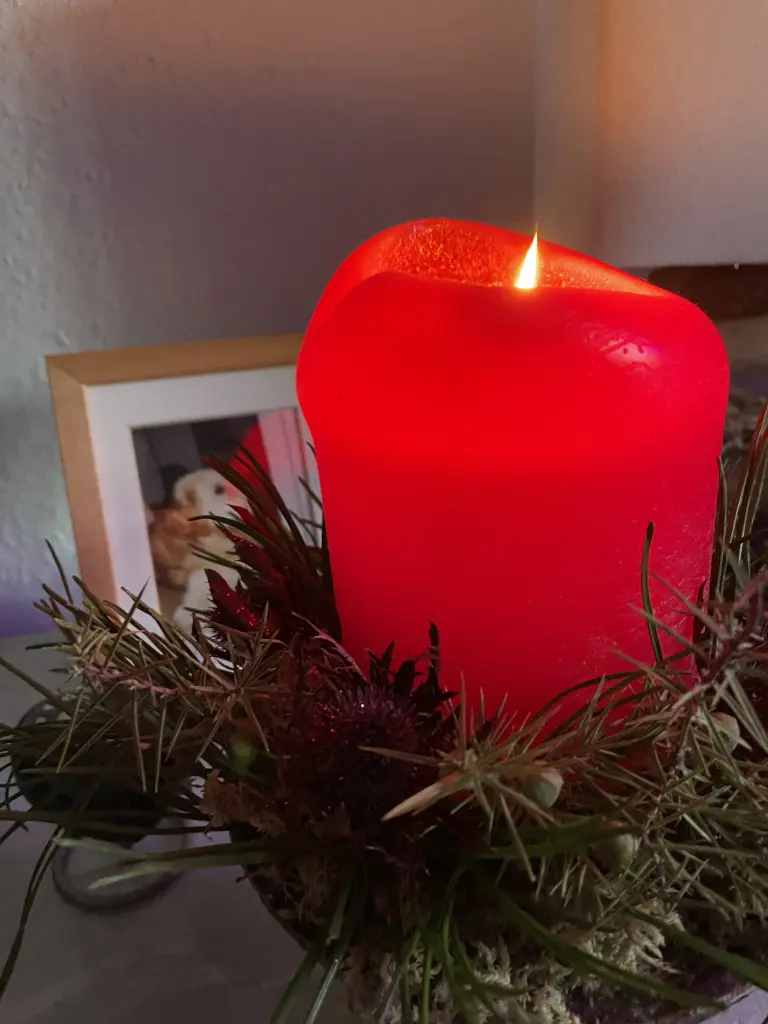 Condolence image of Diana 