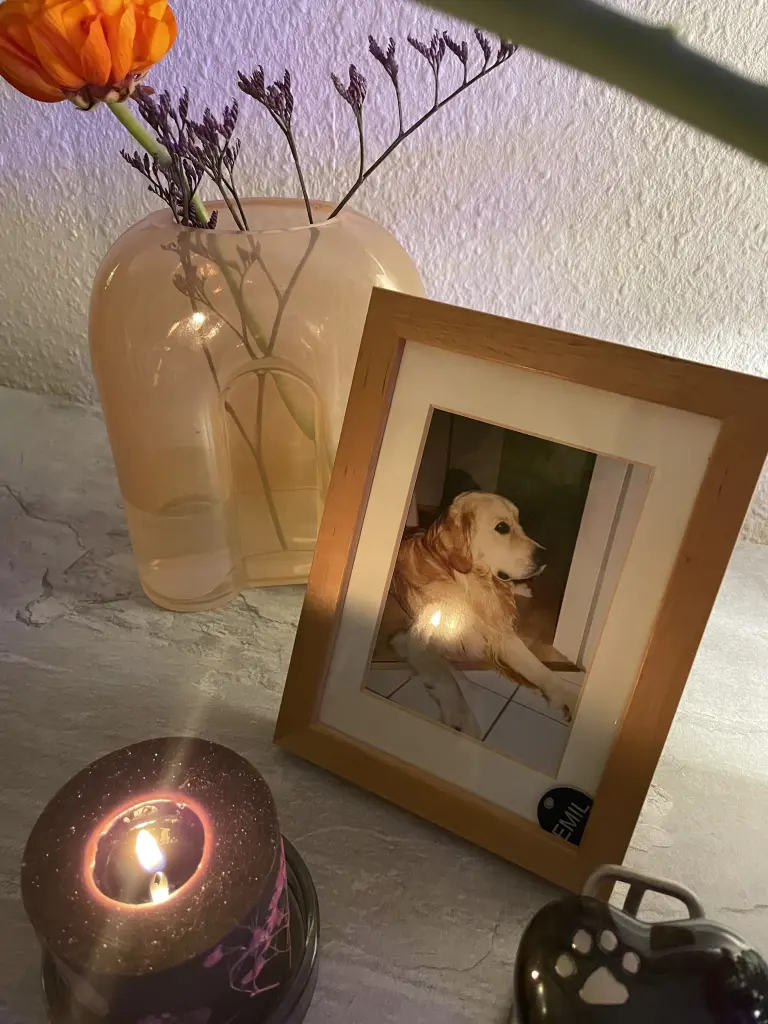 Condolence image of Diana 