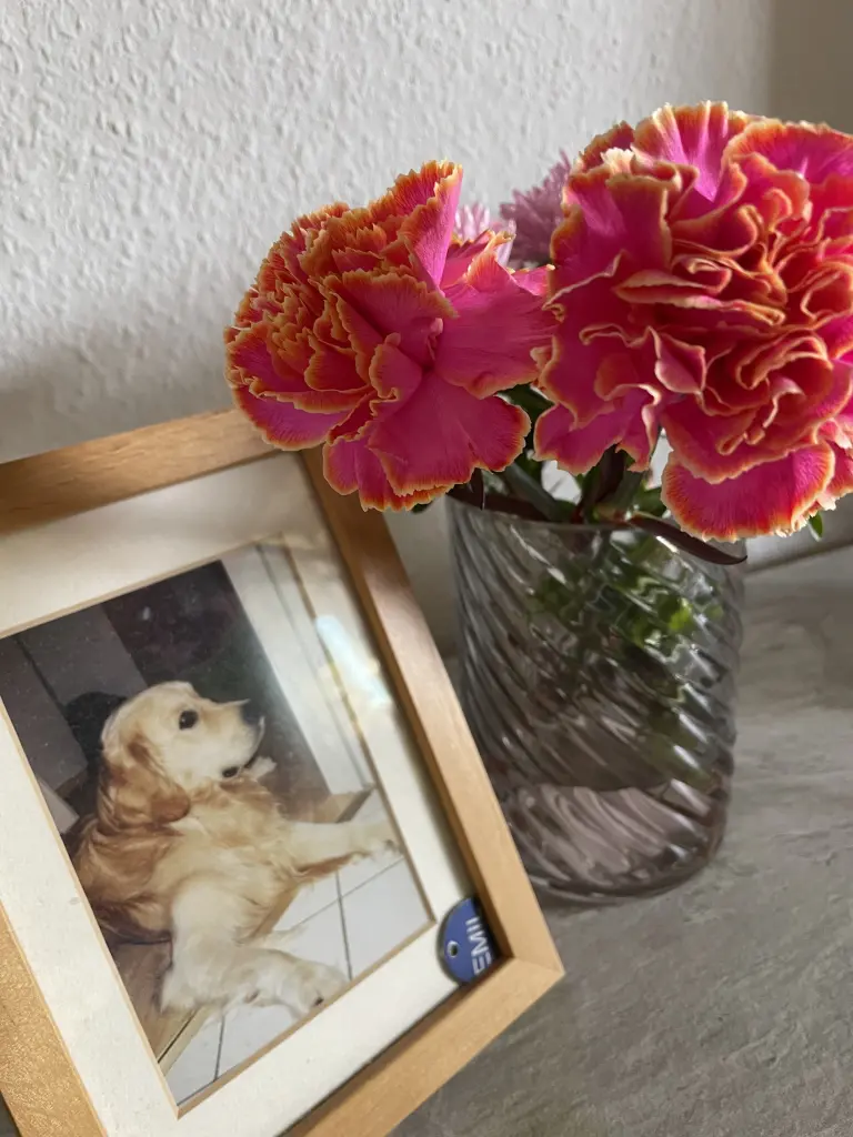 Condolence image of Diana 