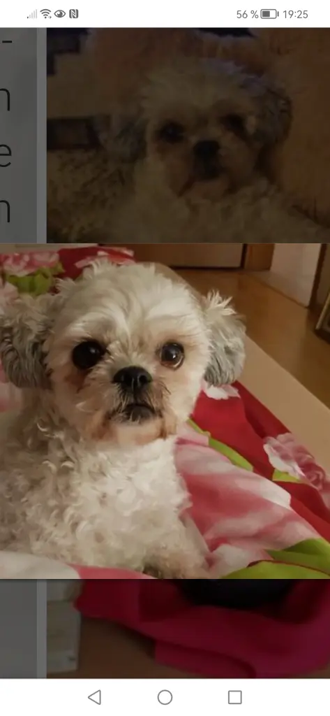 Condolence image of Unbekannt