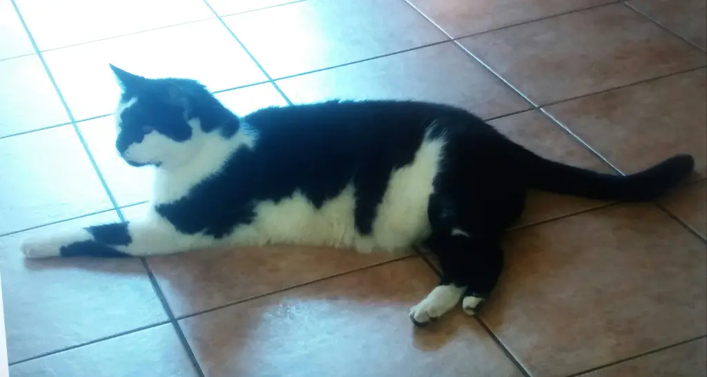 Condolence image of Annemarie und Elke mit Snoopy im Herzen gest.04.01.2022