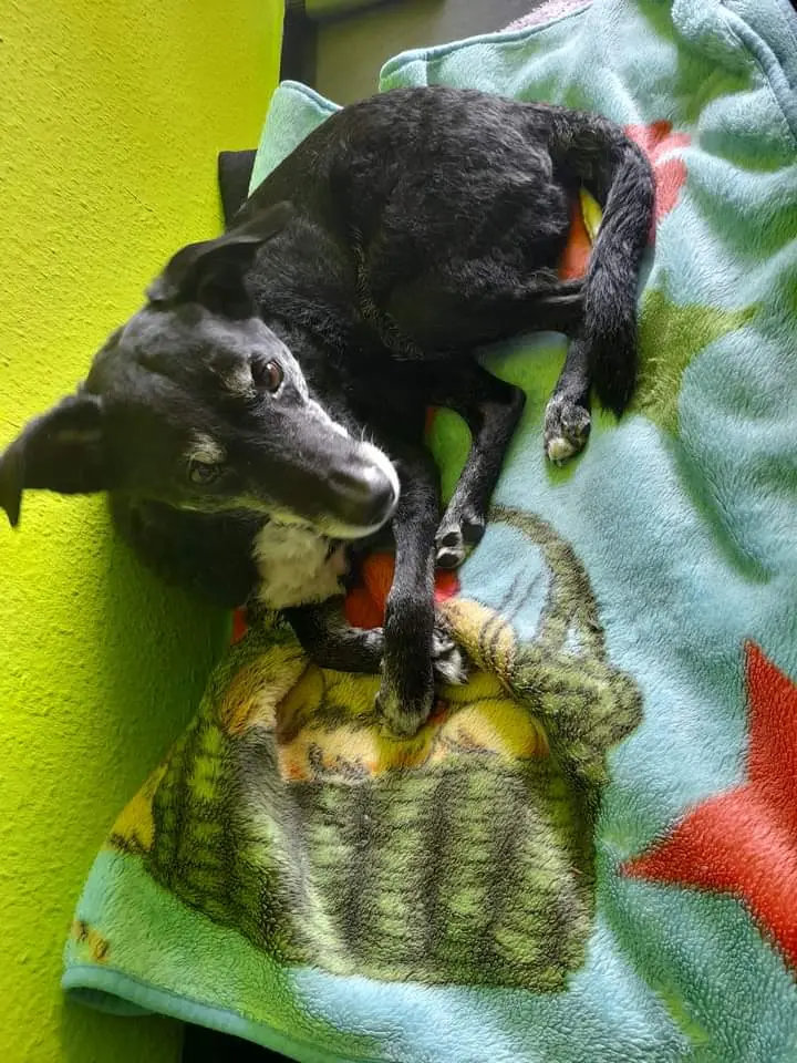 Condolence image of Karina Kaiser