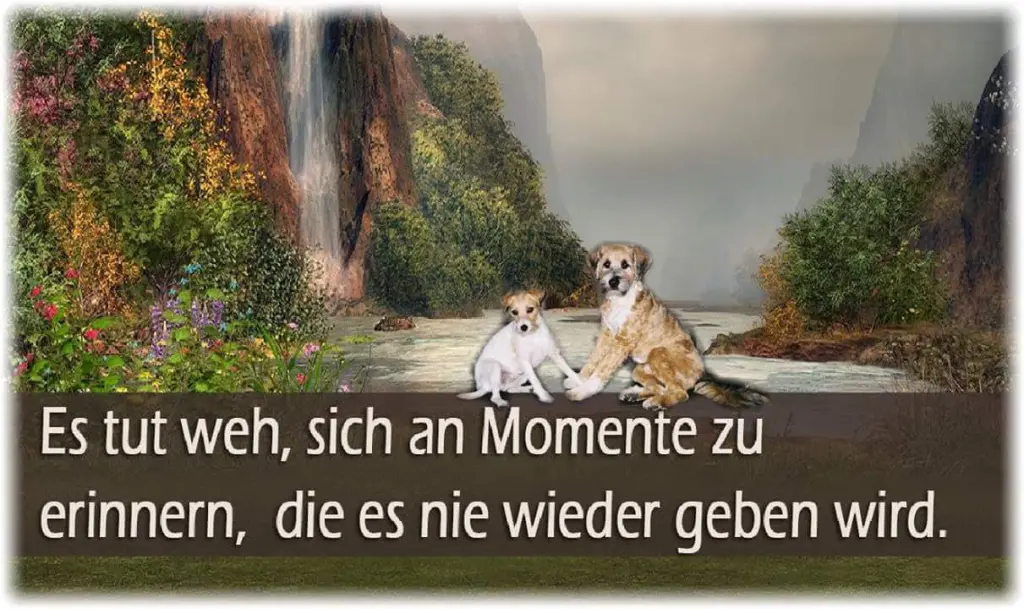 Condolence image of elke