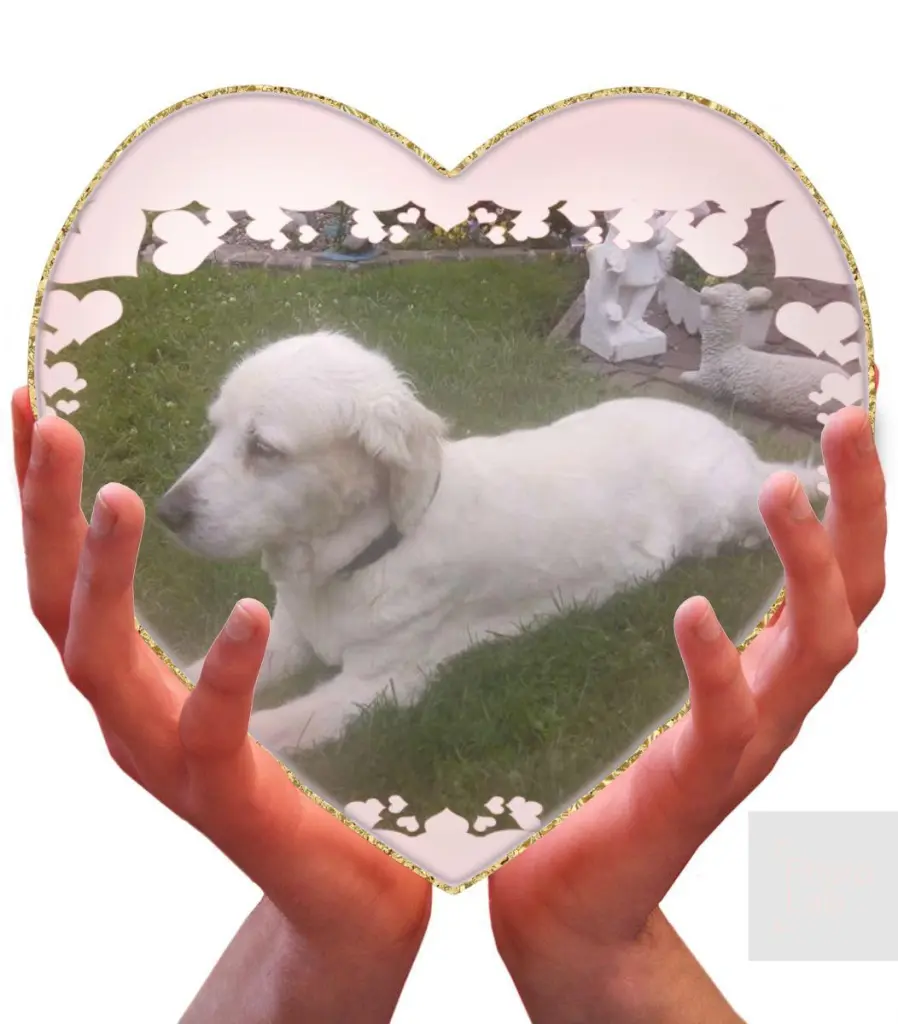 Condolence image of Elke Streich