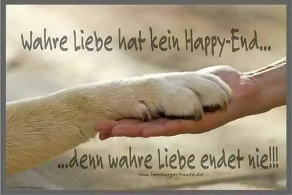 Condolence image of Elke Streich