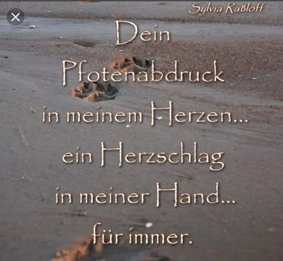Condolence image of Elke Streich