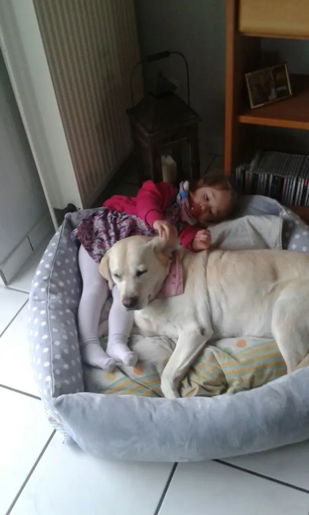 Image from Boni