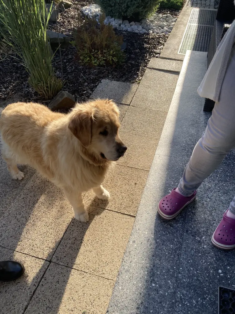 Condolence image of Angelika mit Luna von ❤️ + 02.03.2023