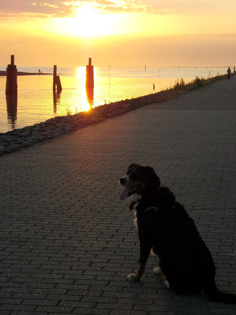 Image from Tinka