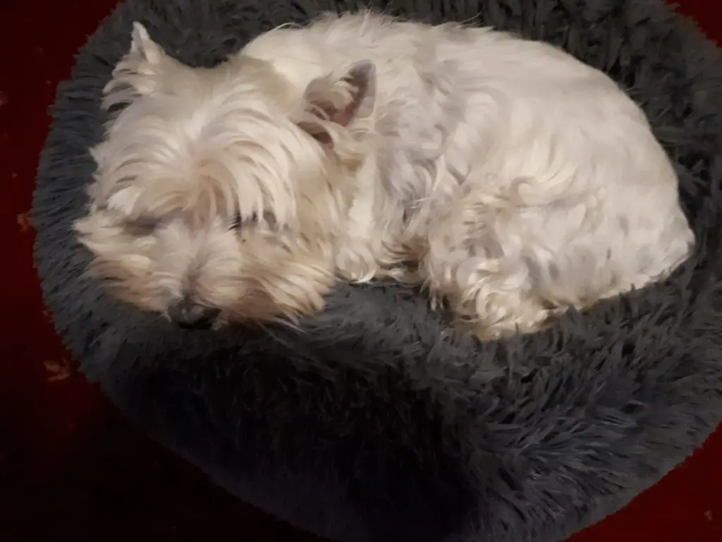 Condolence image of Sabrina