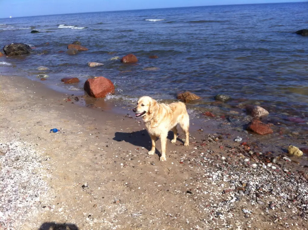 Condolence image of Andy und Piet