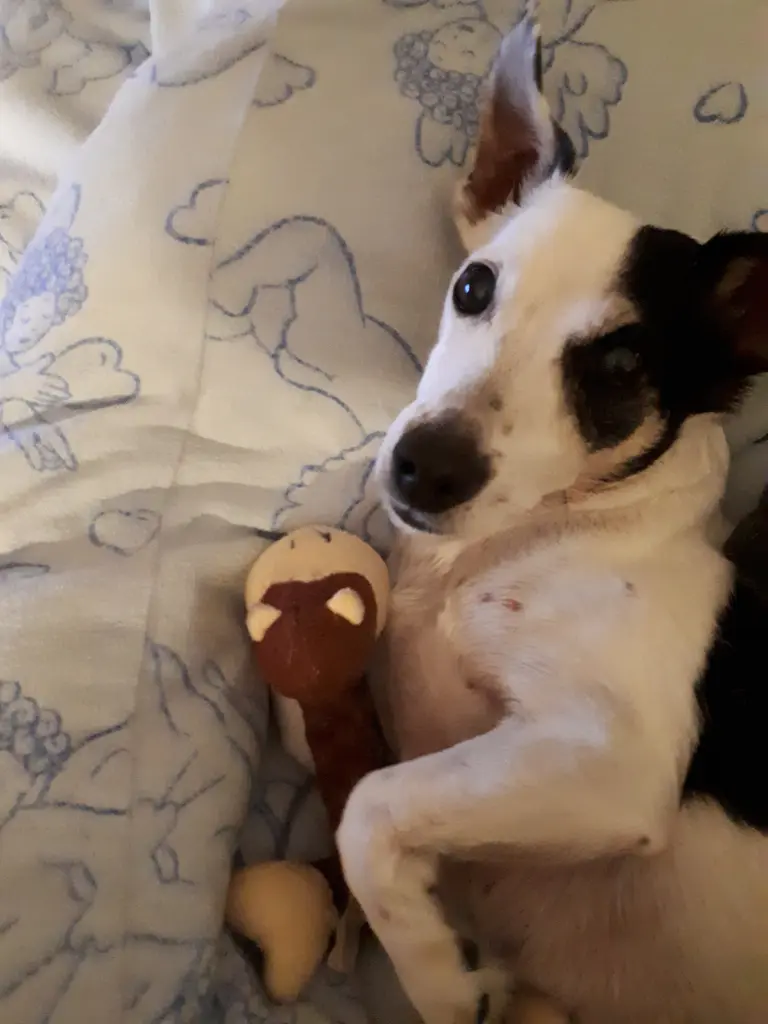 Condolence image of Elfi 