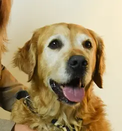 Andachtsbild von Micha mit Cäsar im Herzen