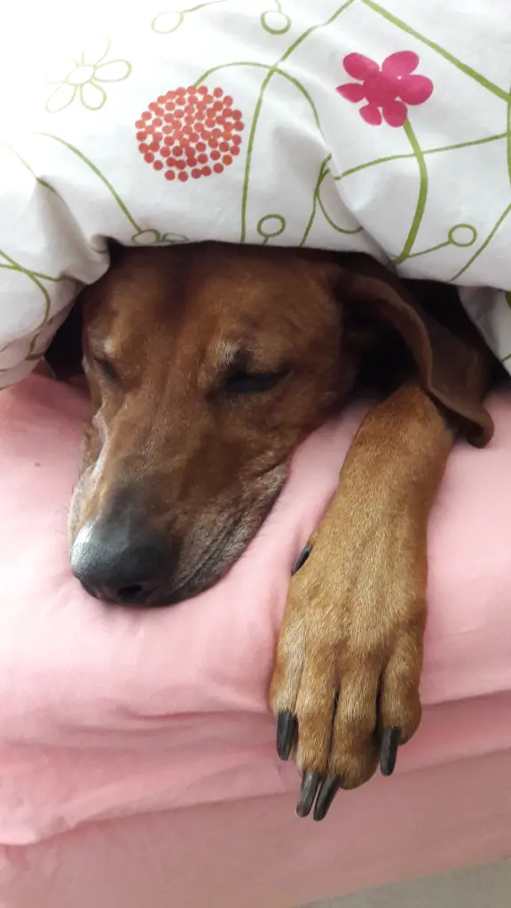 Andachtsbild von Peggy mit Nurisha im Herzen