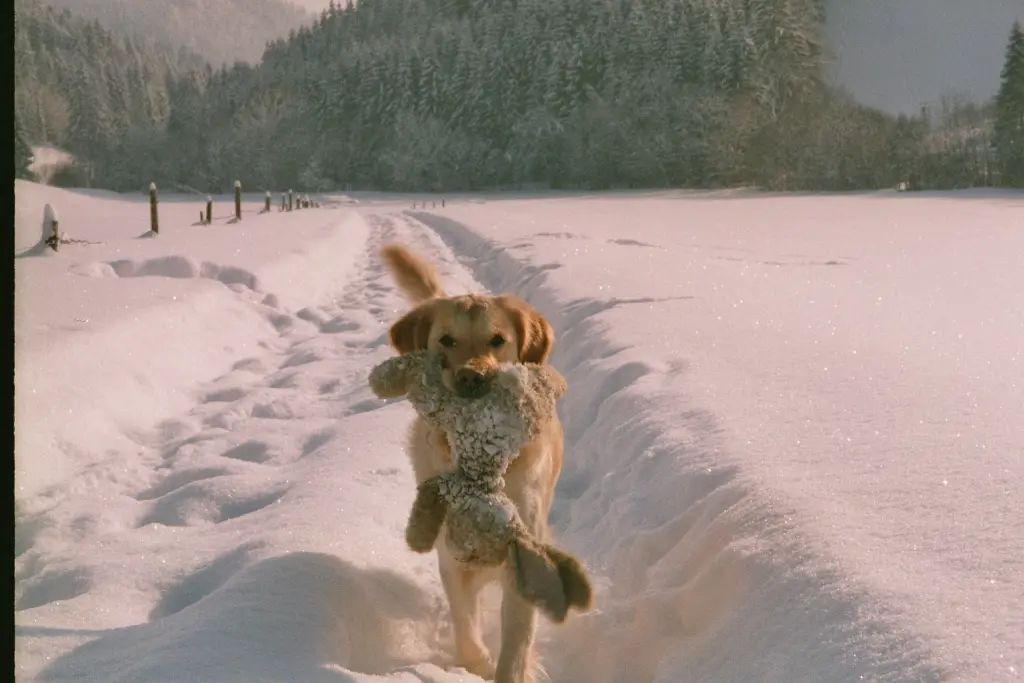 Andachtsbild von Unbekannt